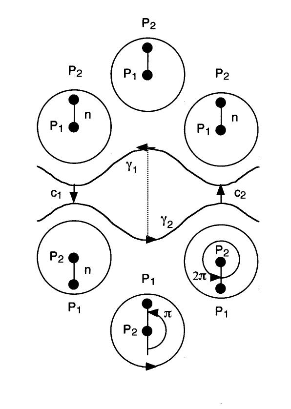 delaunay contours