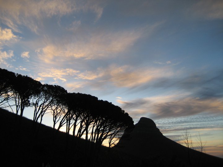 Lion's Head